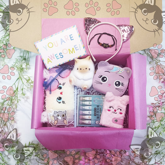 Cat Gift Box for children, Birthday gift box, Girls birthday gift, Daughter gift, Child birthday gift, Sister birthday gift box - My Store