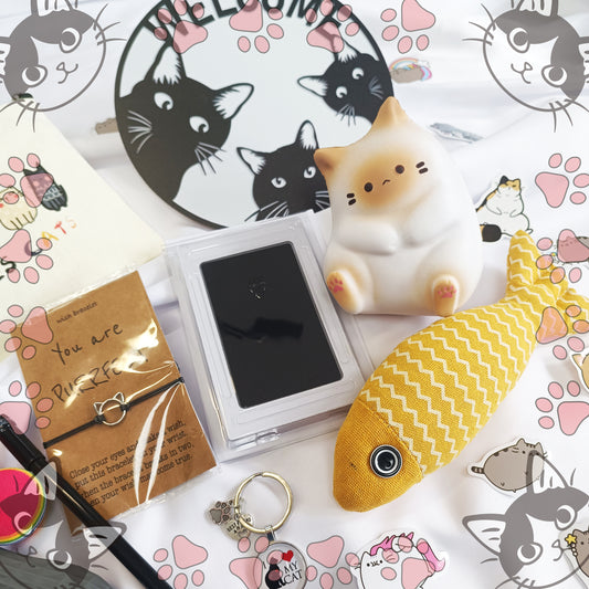 Cat style gift box for woman, Cat lovers gift box, Birthday gift box, Girls birthday gifts, Gift box for daughter, Birthday present gift box - My Store