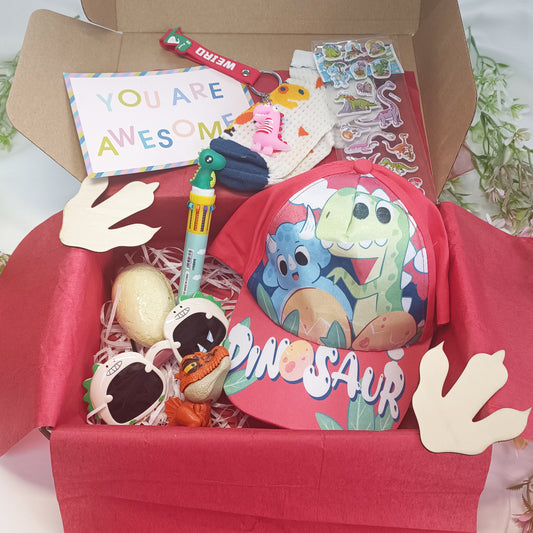 Girls Dinosaur Gift Box for 3-6 years