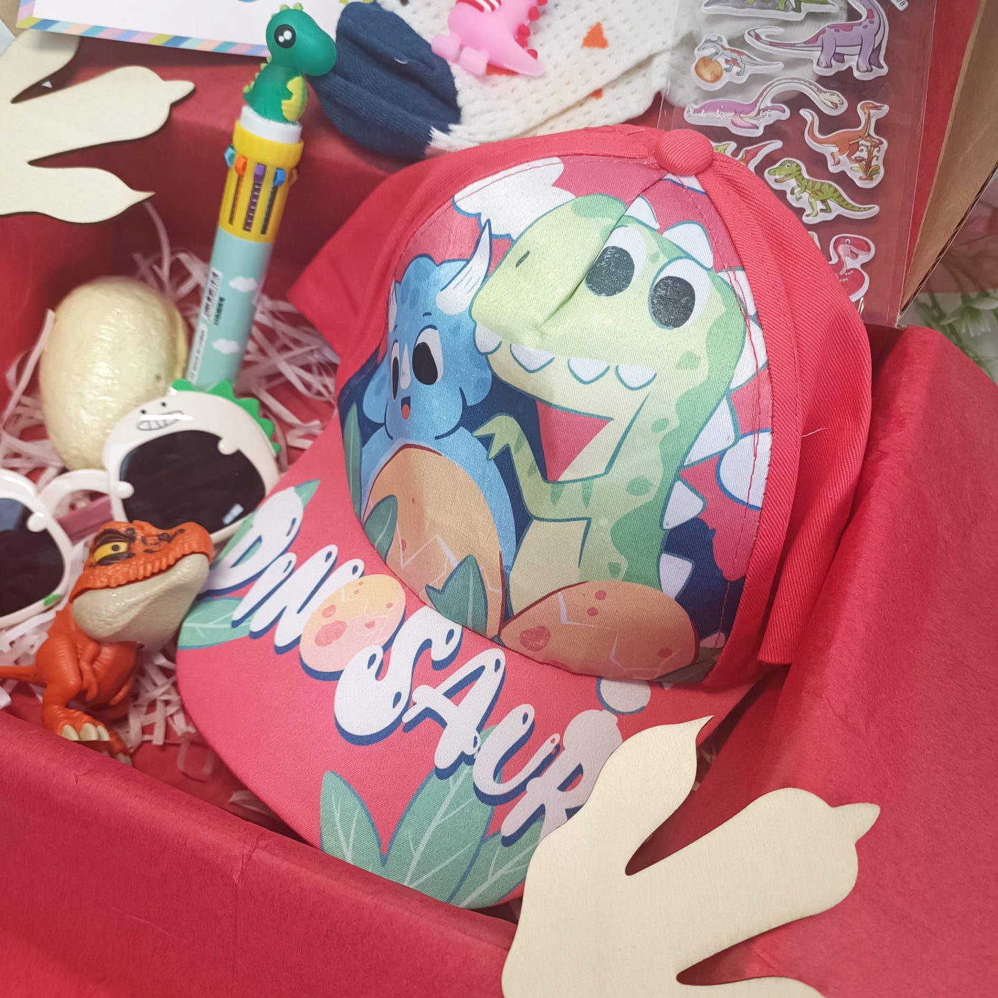 Girls Dinosaur Gift Box for 3-6 years