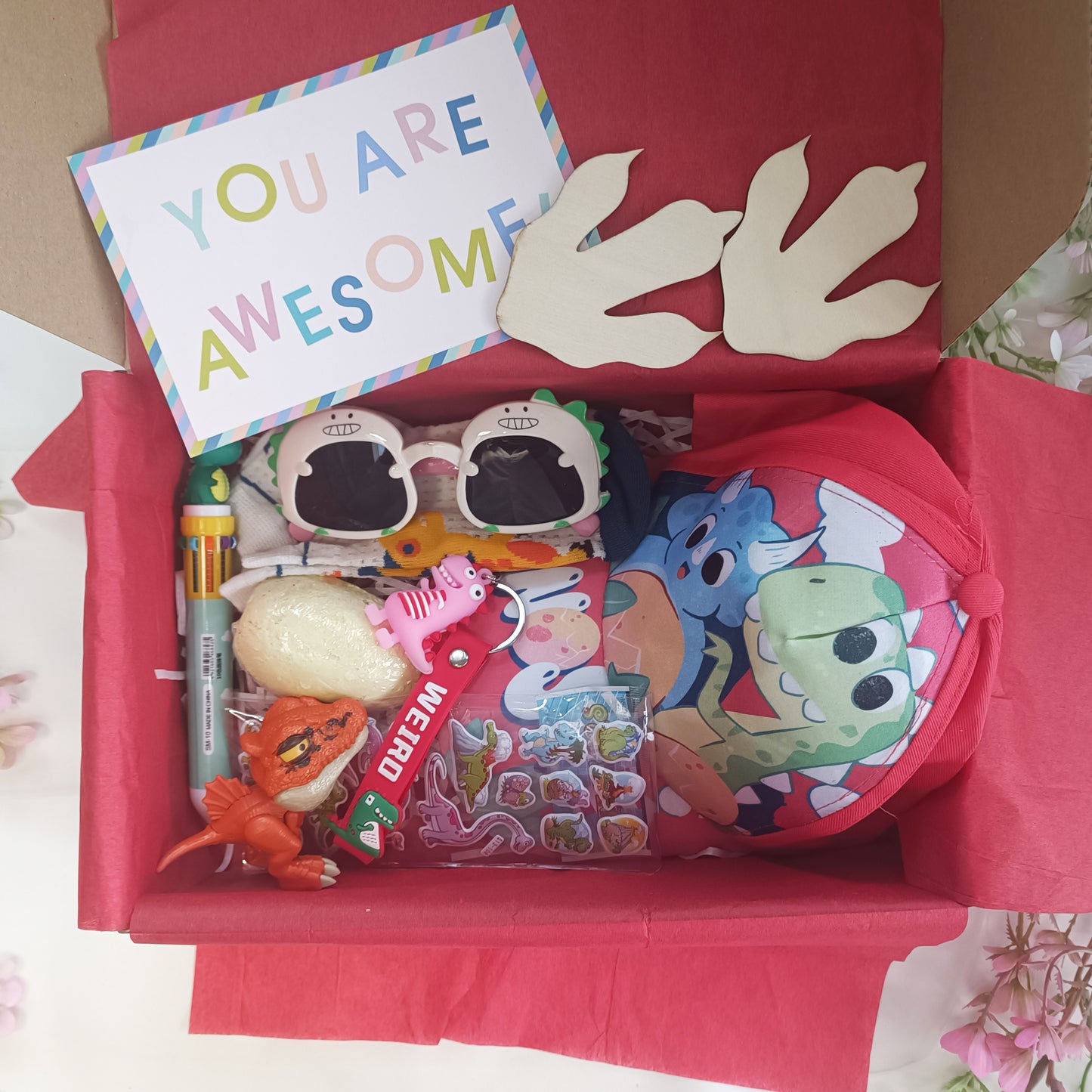 Girls Dinosaur Gift Box for 3-6 years