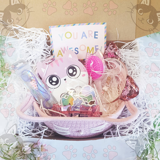 Cat Lover Gift Box with cute pink basket