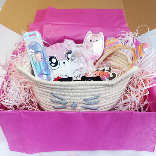 Cat Lover Gift Box with cute basket
