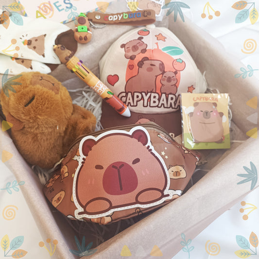 Capybara lover gift box for boys and girls