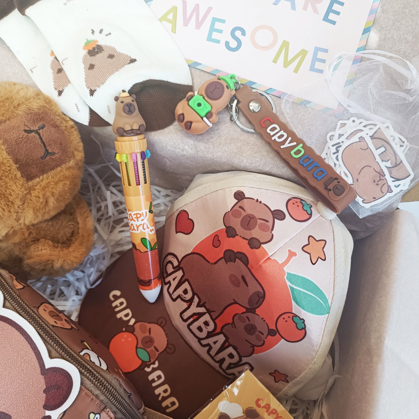 Capybara lover gift box for boys and girls