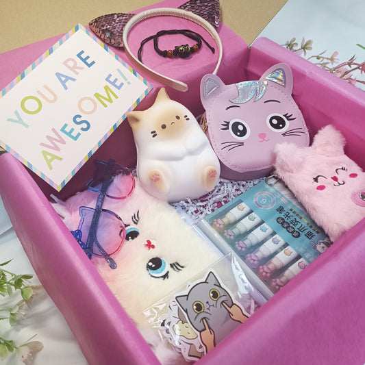 Cat Gift Box for children, Birthday gift box, Girls birthday gift, Daughter gift, Child birthday gift, Sister birthday gift box - My Store