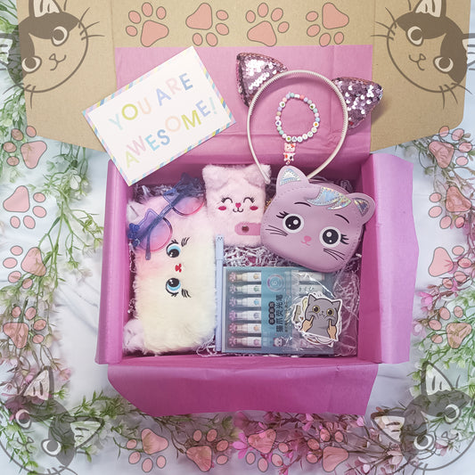 Cat Gift Box for children, Birthday gift box, Girls birthday gift, Daughter gift, Child birthday gift, Sister birthday gift box - My Store